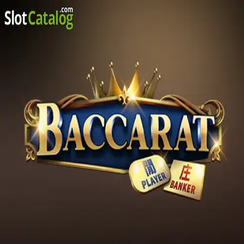 tk971 hot Baccarat C08