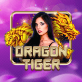 tk971 Dragon Tiger